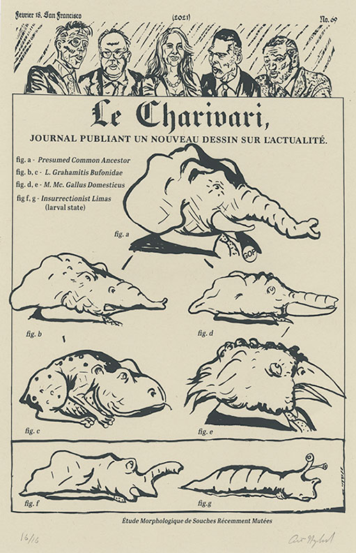 Morphological Study of  Recently Mutated Strains